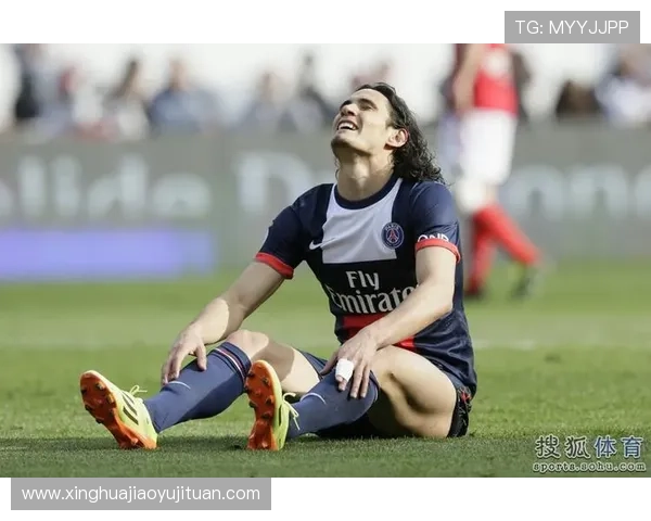 伊布谈场上影响力与看台无助感受的深刻反思